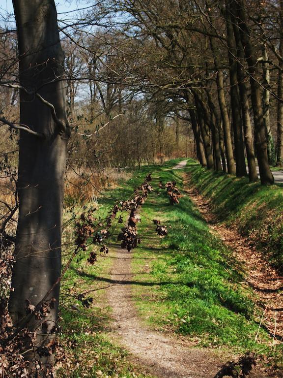 Bed and Breakfast Landgoed De Lavei Weleveld Екстер'єр фото