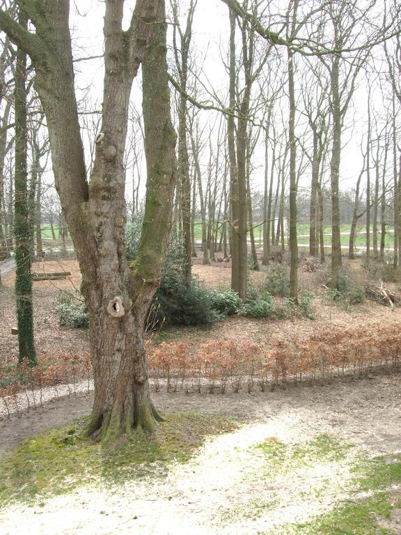 Bed and Breakfast Landgoed De Lavei Weleveld Екстер'єр фото