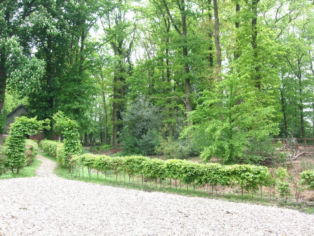 Bed and Breakfast Landgoed De Lavei Weleveld Екстер'єр фото